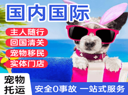 郑州航空托运国际宠物托运 【国